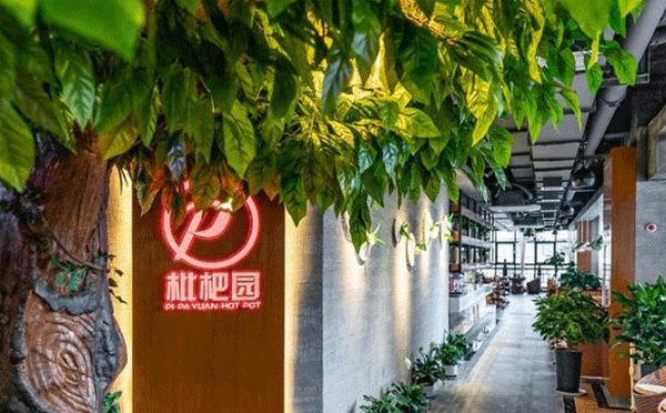 重庆餐饮网红店有哪些-枇杷园食为鲜火锅